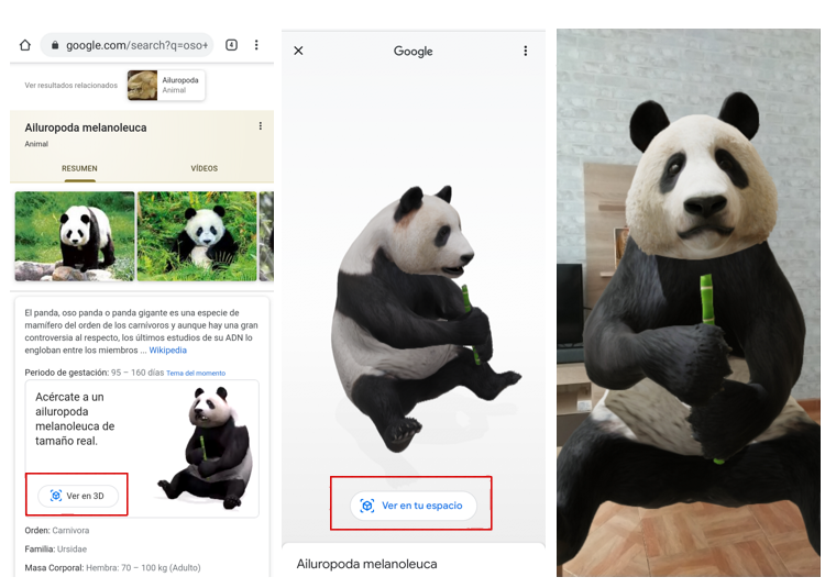 Como Usar Ar Core Para Ver Animales 3d En Tu Casa El Blog De Lowi